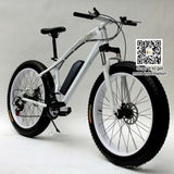 Electric Bicycle 36V 10.4AH 26*4.0 fat tire, snow bike