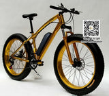 Electric Bicycle 36V 10.4AH 26*4.0 fat tire, snow bike