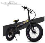 20" 4.0 inch Fat Tire Electric bike 48V12A Lithium Battery electric bicycle